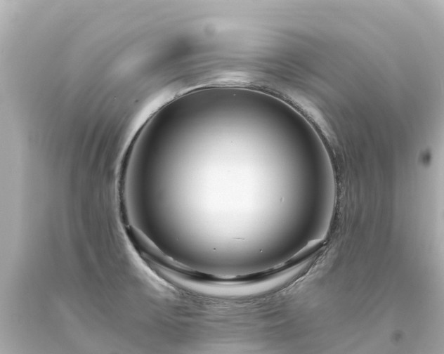 X0000094201475200711021040
