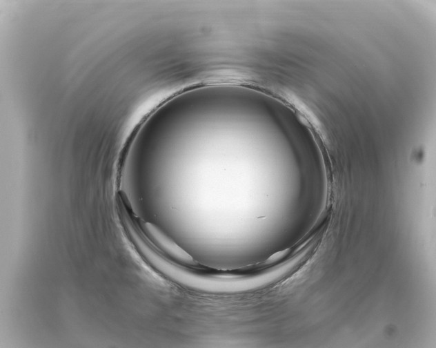 X0000094201477200711021040