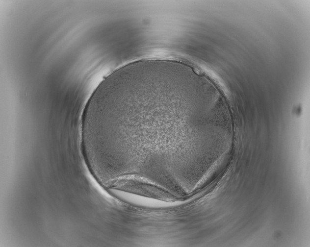 X0000094201479200711021040