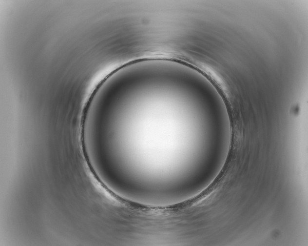X0000094201480200711021040