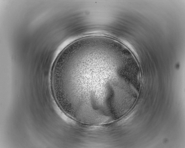 X0000094201482200711021040