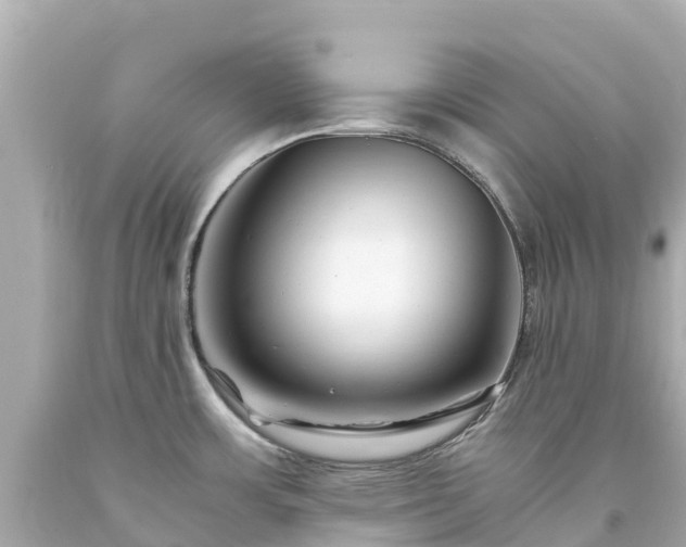 X0000094201483200711021040