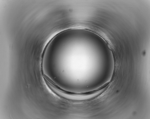 X0000094201484200711021040