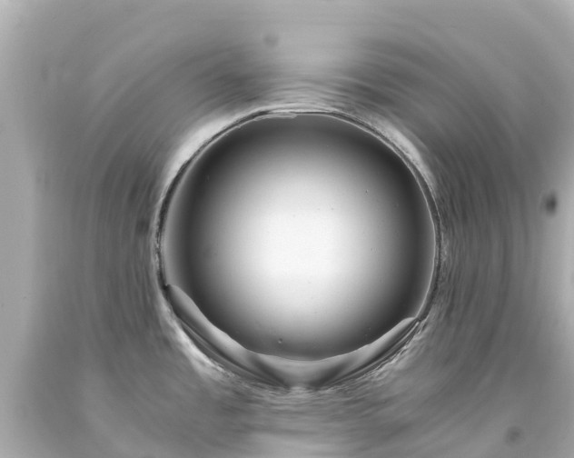 X0000094201485200711021040