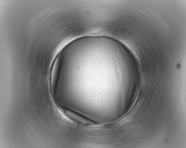 X0000094201486200711021040