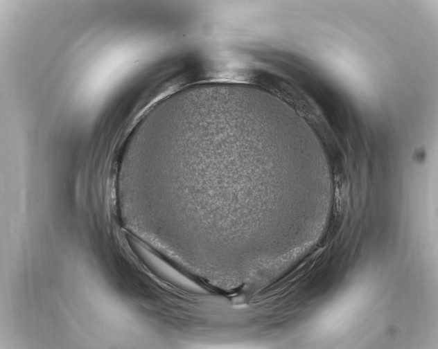X0000094201487200711021040