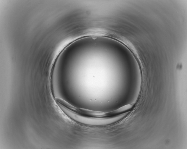 X0000094201488200711021040