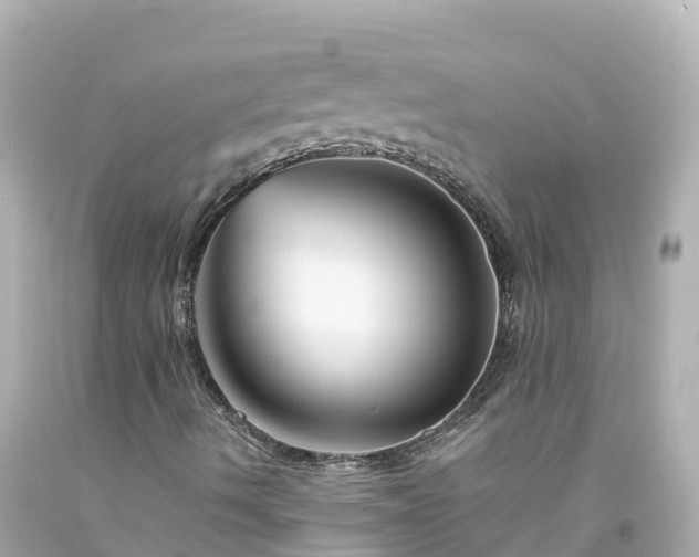 X0000094201490200711021039