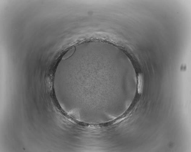 X0000094201491200711021039