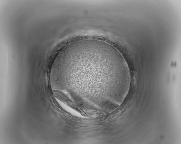 X0000094201493200711021039