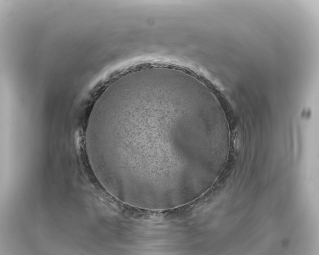 X0000094201495200711021039