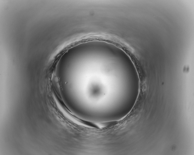 X0000094201496200711021039