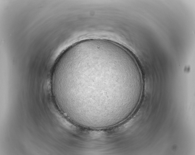 X0000094201498200711021039