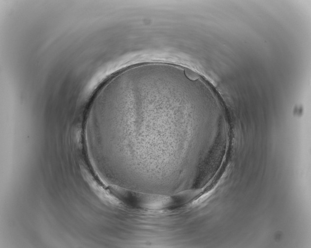 X0000094201499200711021039