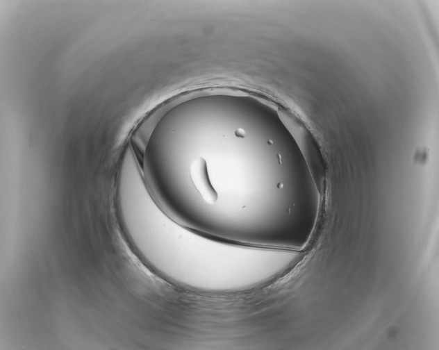 X0000094201500200711021039