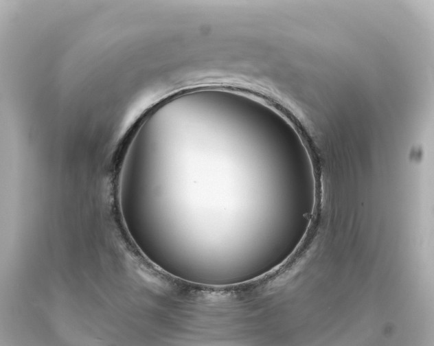 X0000094201501200711021039