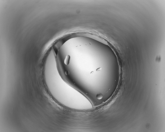 X0000094201502200711021039