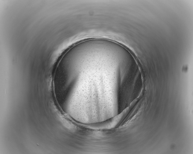 X0000094201507200711021039