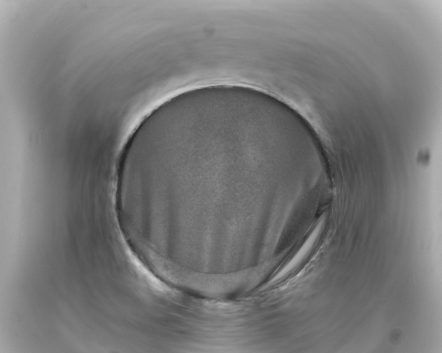 X0000094201508200711021039