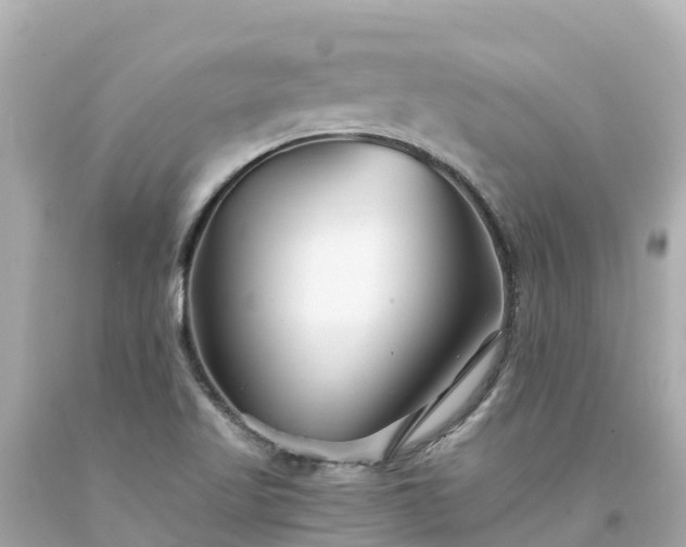 X0000094201509200711021039