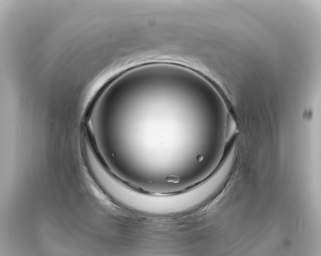 X0000094201511200711021039
