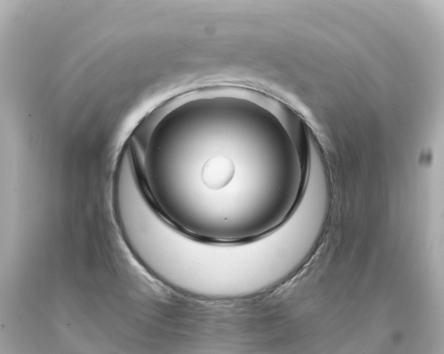 X0000094201512200711021039