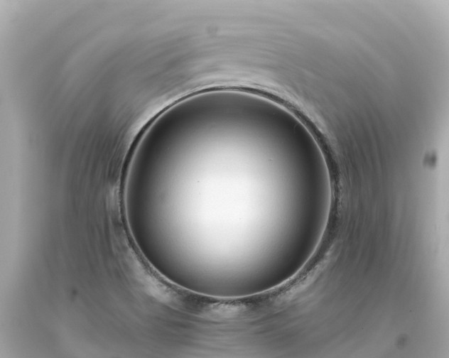 X0000094201513200711021039