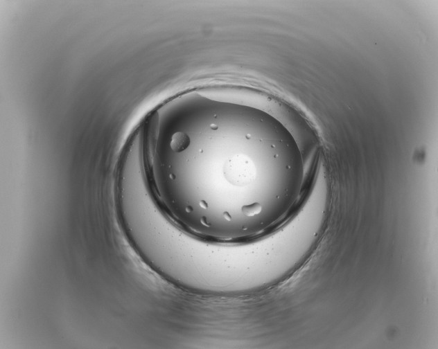 X0000094201514200711021039