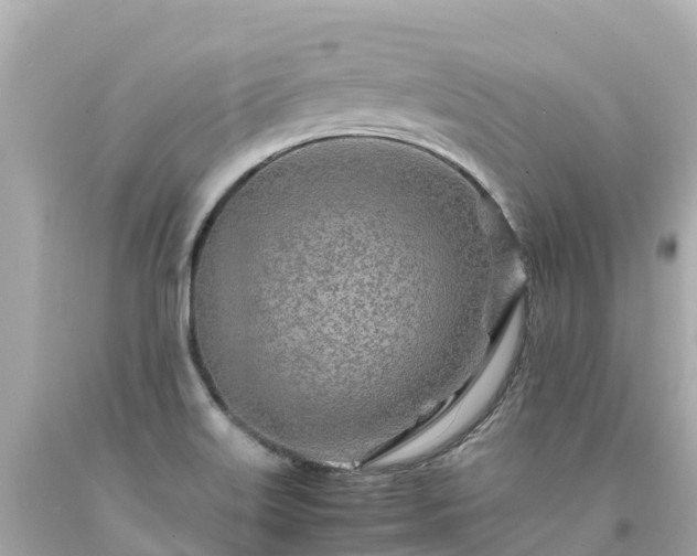 X0000094201515200711021039