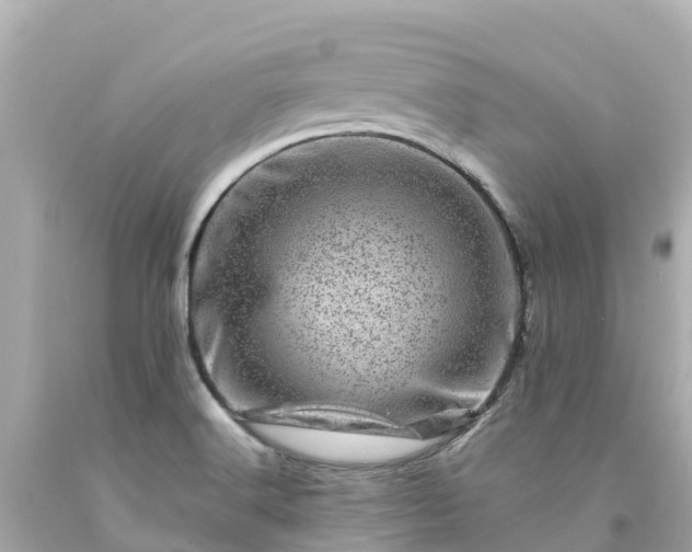 X0000094201516200711021039