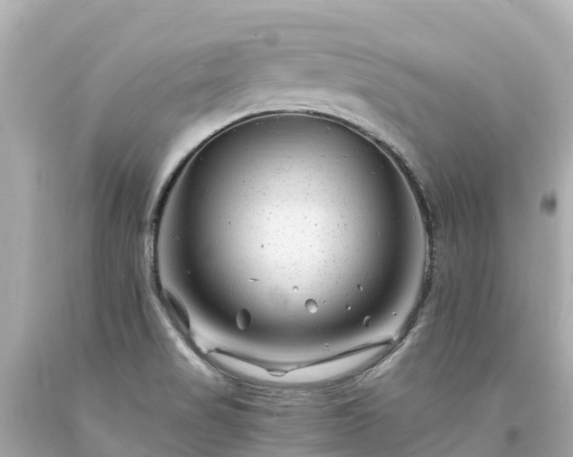 X0000094201517200711021039