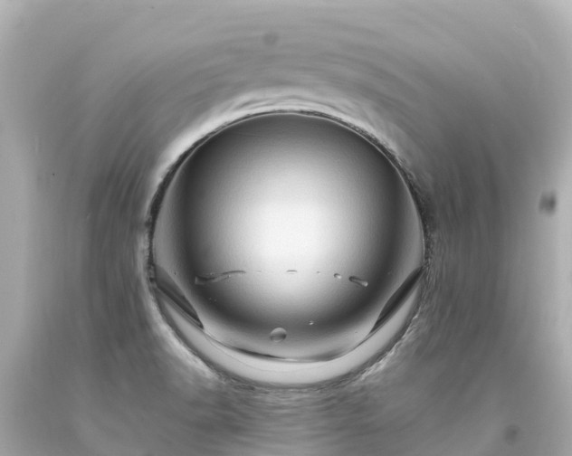 X0000094201518200711021039