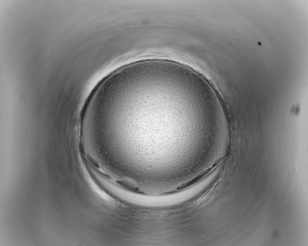 X0000094201519200711021039