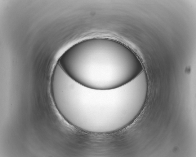 X0000094201520200711021039