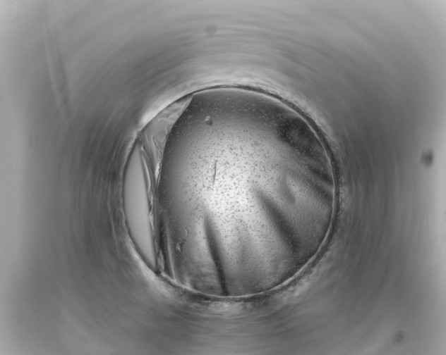X0000094201521200711021039