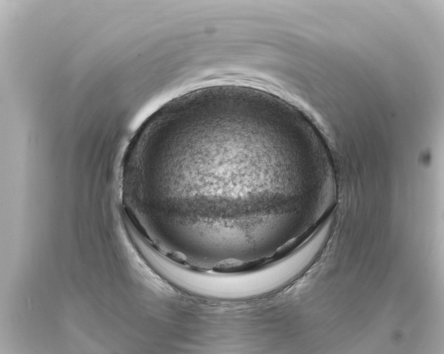 X0000094201522200711021039