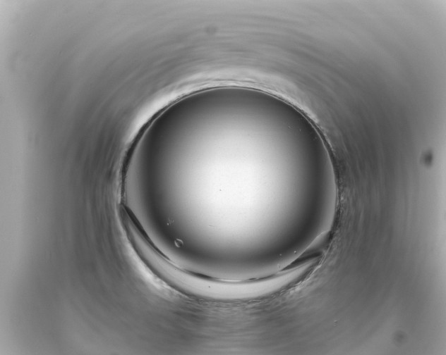 X0000094201523200711021039