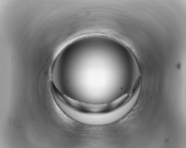 X0000094201524200711021039
