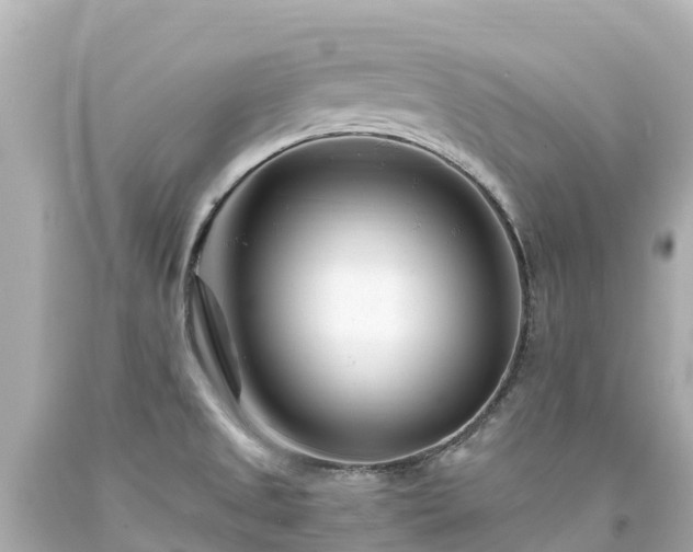 X0000094201525200711021039