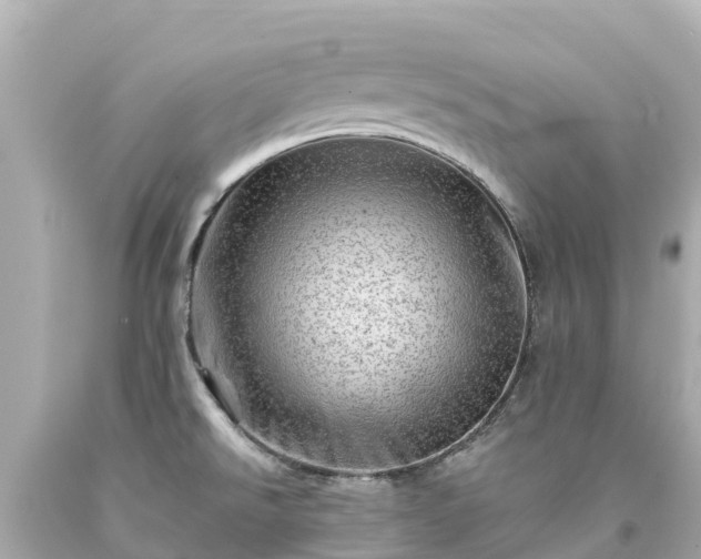 X0000094201526200711021039