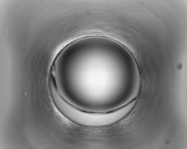 X0000094201527200711021039