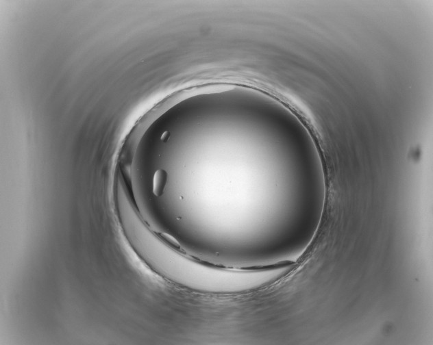 X0000094201528200711021039