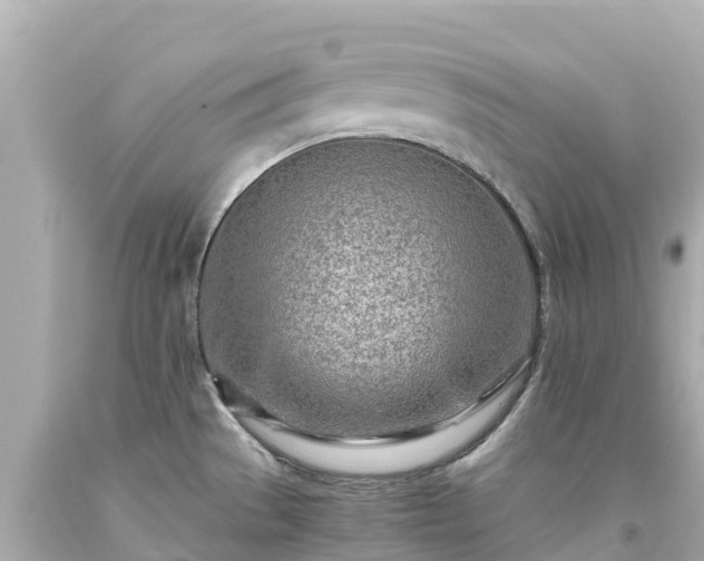 X0000094201529200711021039