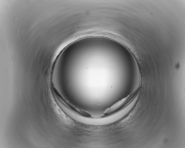 X0000094201530200711021039