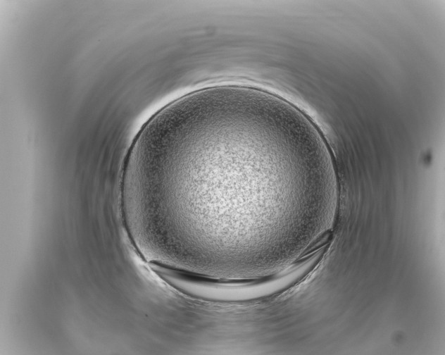 X0000094201534200711021040