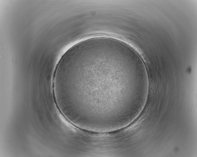 X0000094201535200711021040