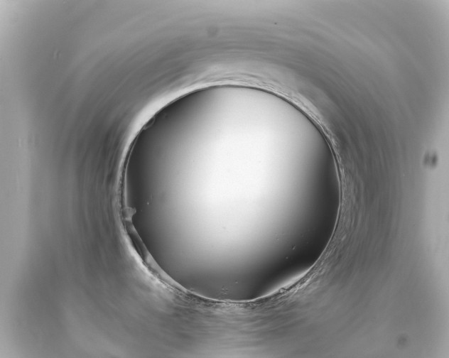 X0000094201536200711021040