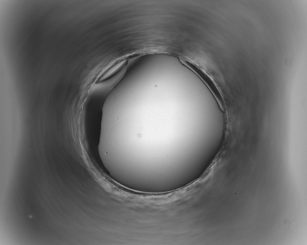 X0000094200001200711091228