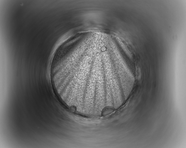 X0000094200004200711091227