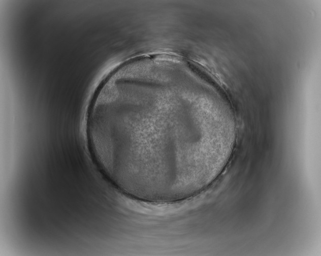 X0000094200006200711091227